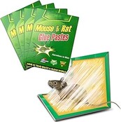 Mouse Trap, Rat Traps, Mouse Sticky Plates, Anti Mice Anti Rat