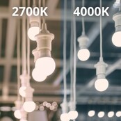 Noxion Pro LED E27 Birne Matt 14W 1521lm 4000K