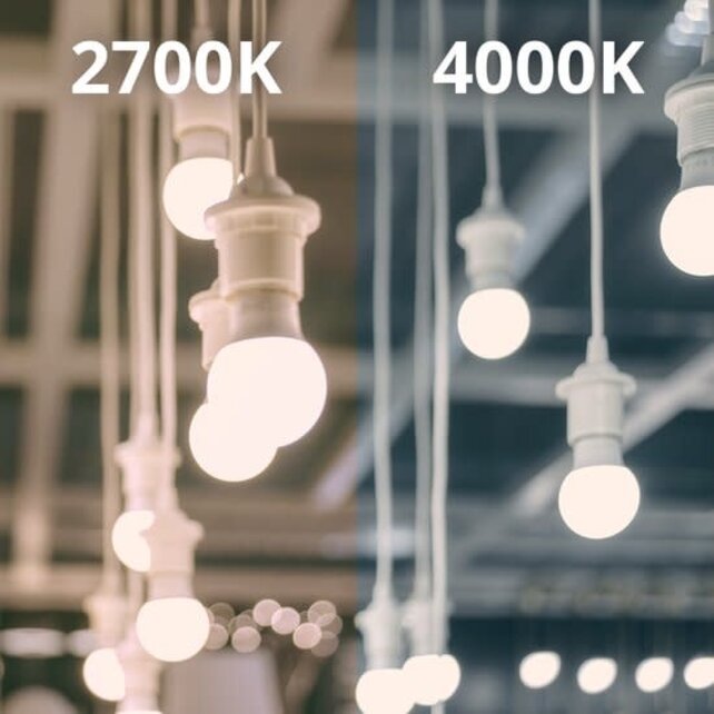 Noxion Pro LED E27 Poire Dépolie 14W 1521lm 4000K