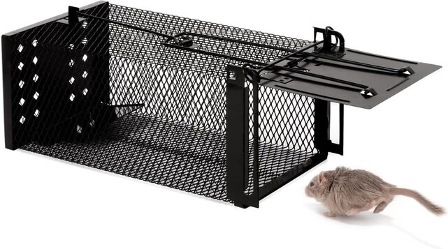 Piège à Souris et Piège à Rats - Pack de 2, Réutilisable - Acier Revêtu par Poudre