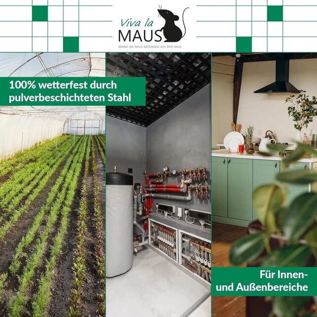 Lebendfalle für Mäuse & Ratten - 2er-Pack, Wiederverwendbar - Pulverbeschichteter Stahl