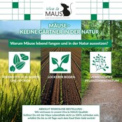 Lebendfalle für Mäuse & Ratten - 2er-Pack, Wiederverwendbar - Pulverbeschichteter Stahl