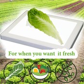 Bug Checker MAX PRO - Vérificateur de Légumes SANS Insectes