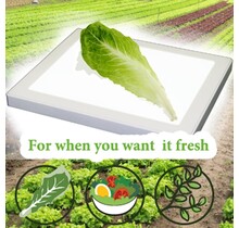 Bug Checker MAX PRO - Bug-Free Produce Checker