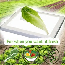 Kosher Bug Checker MAX PRO