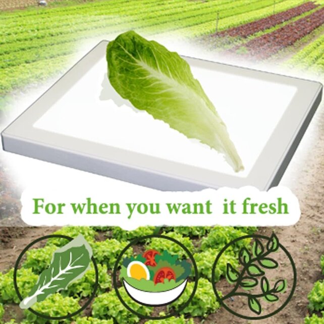 Bug Checker MAX PRO - Vérificateur de Légumes SANS Insectes