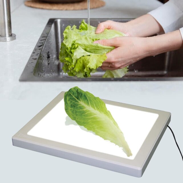 Bug Checker MAX PRO - Insectenvrije Groenten Controle