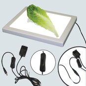 Bug Checker MAX PRO - Insectenvrije Groenten Controle