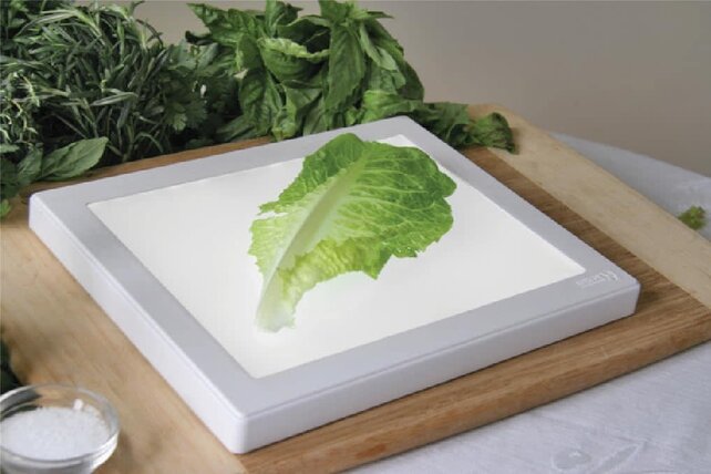 Bug Checker MAX PRO - Vérificateur de Légumes SANS Insectes