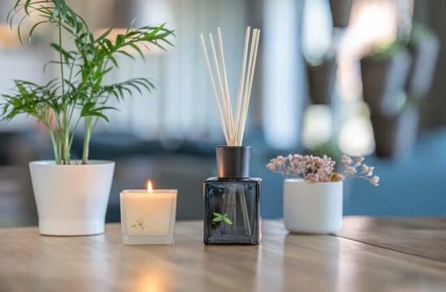 AirWick Scented Candle Apple & Cinnamon - Odor Masking & Refreshing