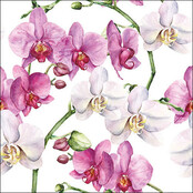 Ambiente Servet Elegante Orchideeën Wit Mix