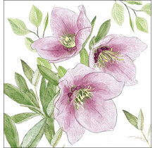 Ambiente Serviette Klassische Christrose Mix