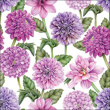 Napkins Dahlias In Bloom