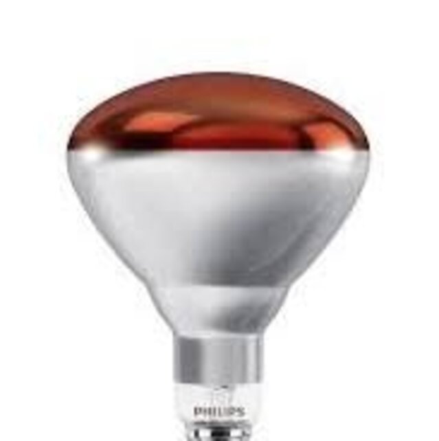 BR125 IR 150W E27 230-250V Red 1CT/10