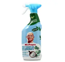 Mr. Proper Multi-Purpose Spray met Bicarbonaat - Eucalyptus - 500ml