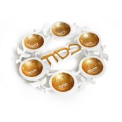 Paldinox Aluminum Seder Plate – White Enamel & Gold Foil