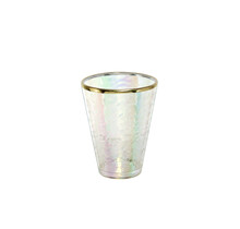 Acrylic Iris tumbler with gold rim 120 ml s/6