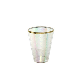 Brillaint Acrylic Iris tumbler with gold rim 120 ml P6