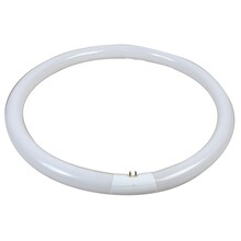 T8 Circline Sylvania 40W/840 Cool White