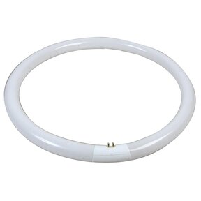 T8 Circline Sylvania 40W/840 Cool White