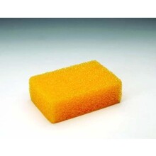 Tapinet Carpet Sponge