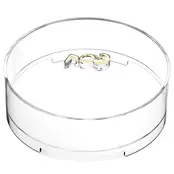 Acryl Matzahdoos met Marmeren Bodem, Gouden Knop met Lettering