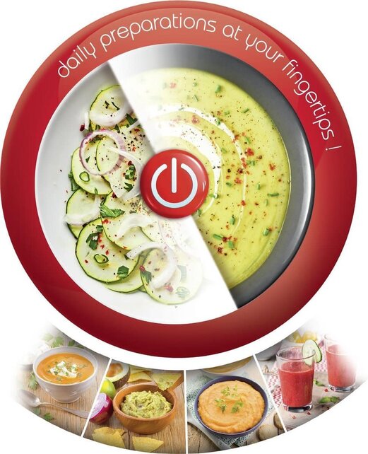 Moulinex EasyChef Mixeur Plongeant 450W Blanc
