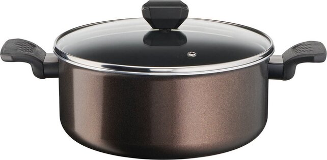 Tefal Cooking Pot - Ø 24 cm (4.7 L) - Easy Cook & Clean - With Lid Suitable for All Heat Sources Except Induction