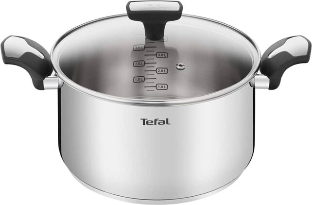 Tefal Emotion Stainless Steel Cooking Pot with Glass Lid – 5.2 L