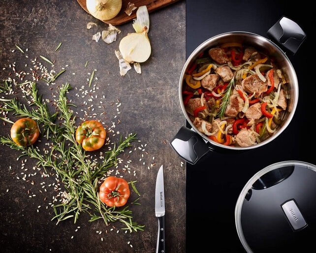 Tefal Emotion Stainless Steel Cooking Pot with Glass Lid – 5.2 L