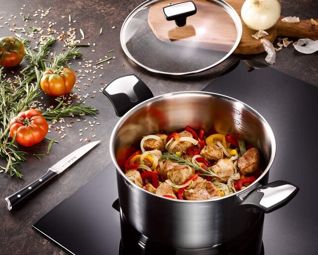 Tefal Emotion Stainless Steel Cooking Pot with Glass Lid – 5.2 L