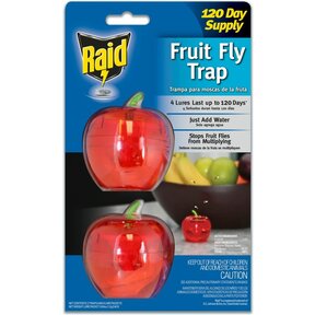Raid Apple Fruit Fly Trap 2-Pack