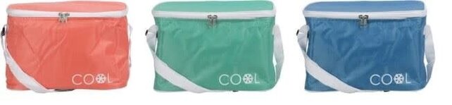 Cooler Bag 8L