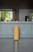 Brabantia NewIcon Waste Bin 30L – Gold