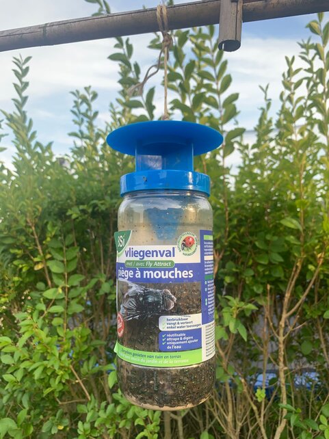 Piège à Mouches BSI Fly Attract 40g – Piège Biologique Réutilisable pour Usage Extérieur – Capture Jusqu’à 20 000 Mouches, Sûr pour Enfants et Animaux, Solution Naturelle