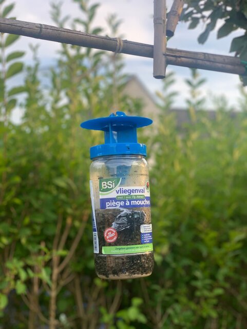 BSI Vliegenval Fly Attract 40g – Biologische Herbruikbare Vliegenvanger voor Buiten – Vangt tot 20.000 Vliegen, Natuurlijk, Veilig voor Kinderen en Huisdieren