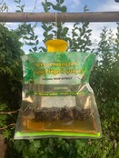 Piège à Guêpes Jetable BSI avec Attractif Écologique – 300ml Inclus – Sans Insecticide, N’attire pas les Abeilles