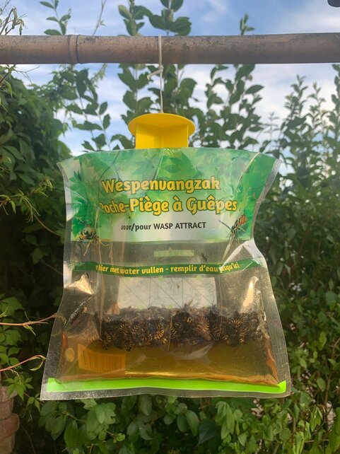 BSI Wesp Catch Bag met Ecologische Lokstof – Wegwerp Wespval met 300ml Wasp Attract – Veilig, Zonder Insecticide, Lokt Geen Bijen