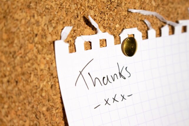 Kangaro Reißzwecken – Kupferbeschichtet – 100 Stück