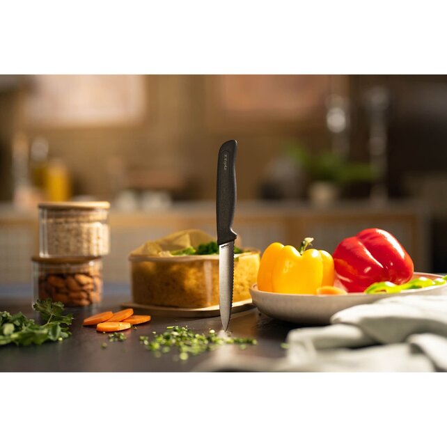 Zyliss Serrated Paring Knife 10cm – German Stainless Steel Blade, Eco Handle & Safety Cover