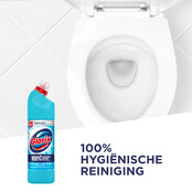 Glorix Bleek Toiletreiniger 750ml – Eucalyptus, Actieve Bescherming en Frisse Geur