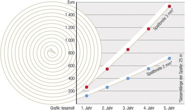 Tesa moll  P-Profiel Tochtstrip 6 m – Zelfklevende raam- en deurafdichting voor 2–5 mm kieren