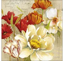 Ambiente Napkins Coralie FSC Mix