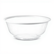 Clear Acrylic Wash Bowl with White Rim