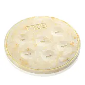 Waterdale Resin Seder Plate gold
