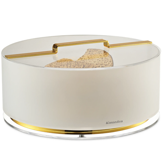 Alexandria Floating Matzah Box Gold