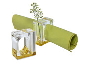 Brilliant Acryl Serviettenring mit Gold