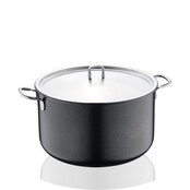 Doria Casserole 32X20