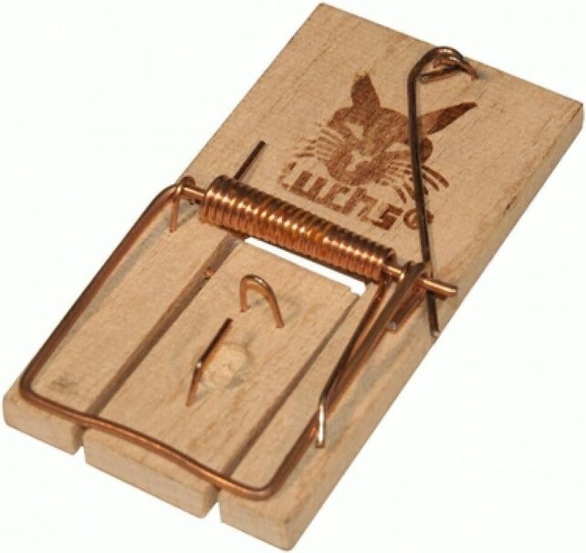 Edialux Pièges à souris en bois, lot de 2