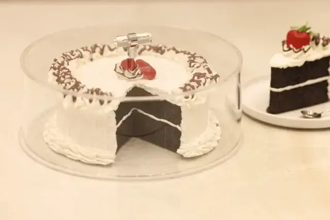 Allure Home Kuchenkuppel, rund, Lucite